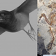 Illustration for article titled This dinosaur-era bird had a full set of teeth for crushing armored prey